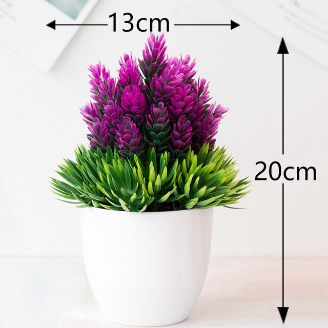 purple plant dimension
