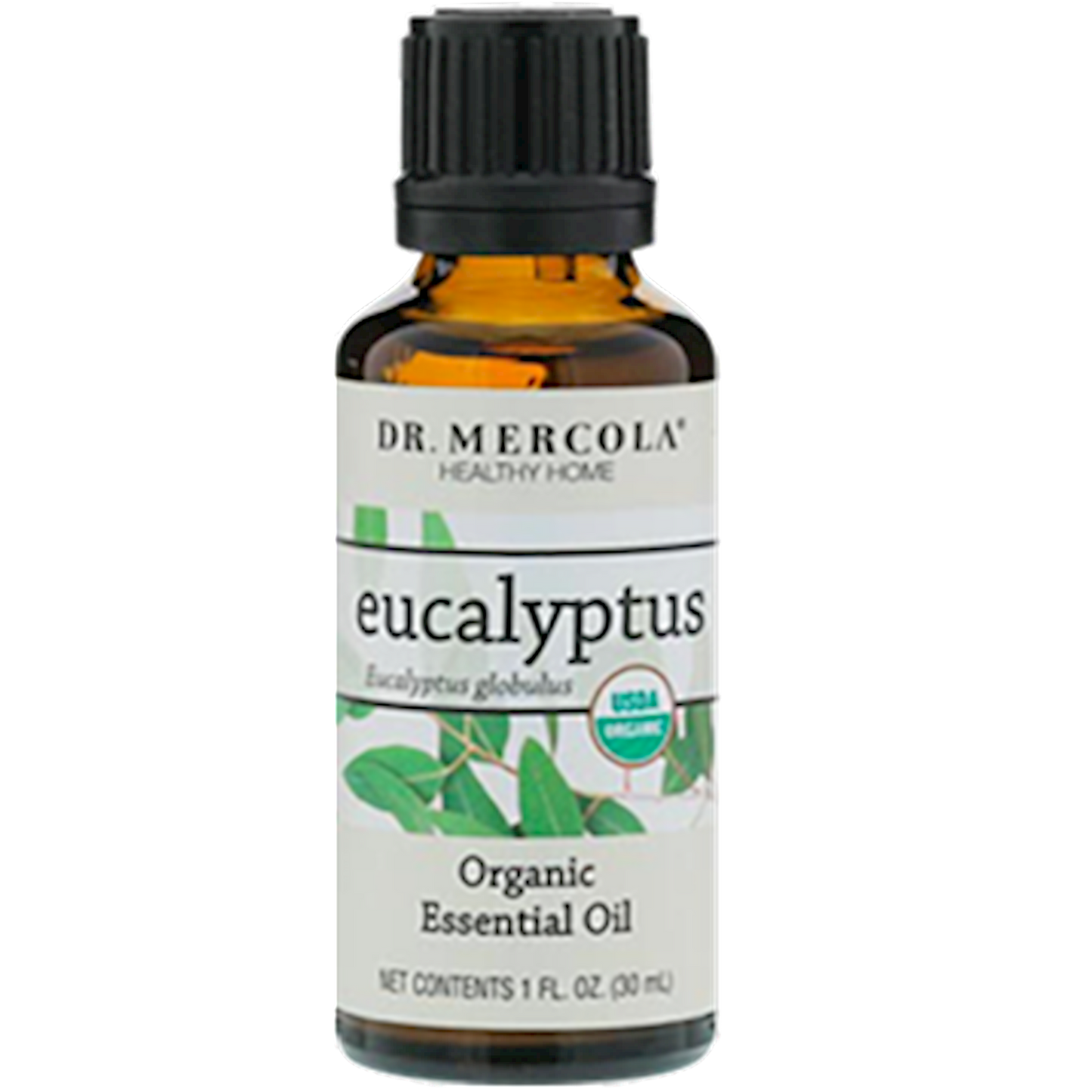 Organic Eucalyptus Essential Oil