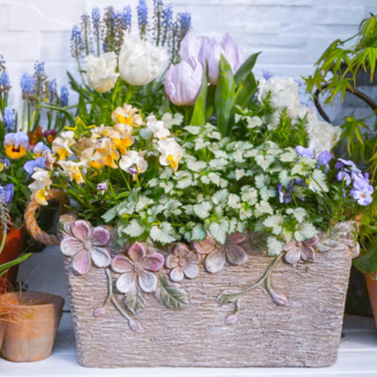 Khaki beautiful Rectangular Flower planter pot