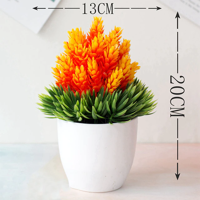 Orange plant dimension