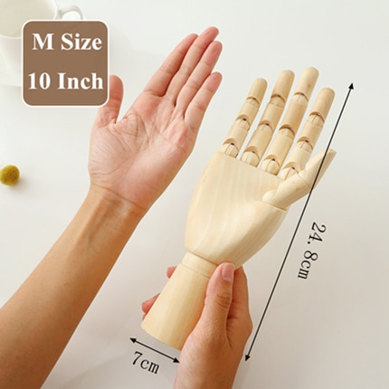 medium size hand model