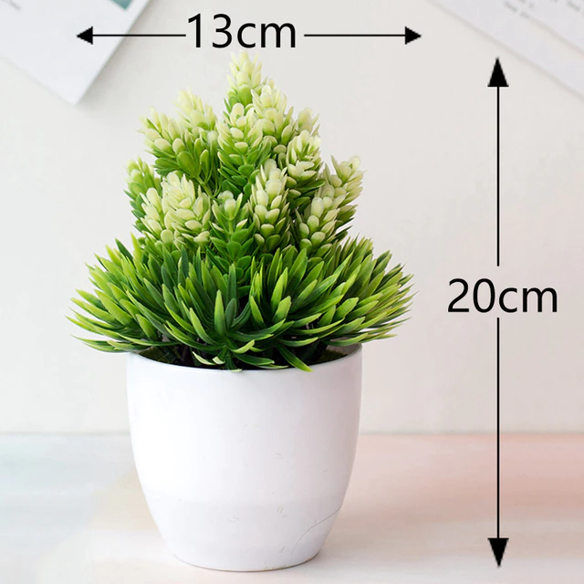 White & green plant dimension