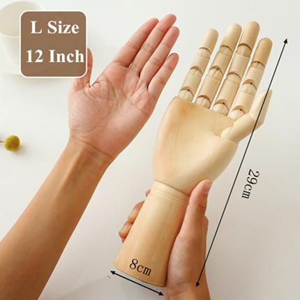 large size hand model