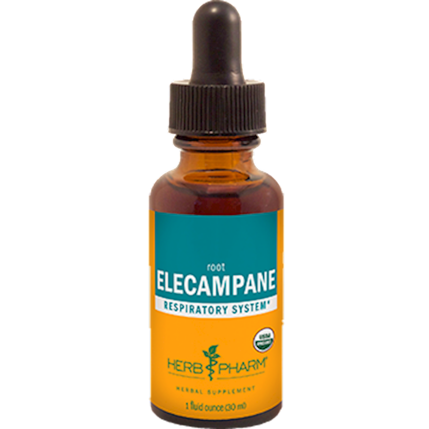 Elecampane