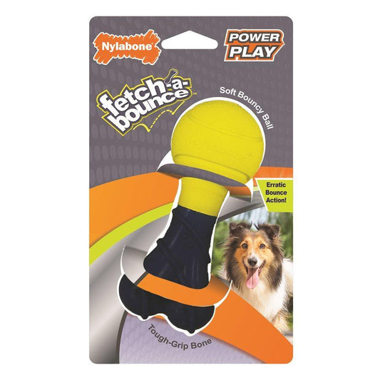 Nylabone Play Fetch-A-Bounce