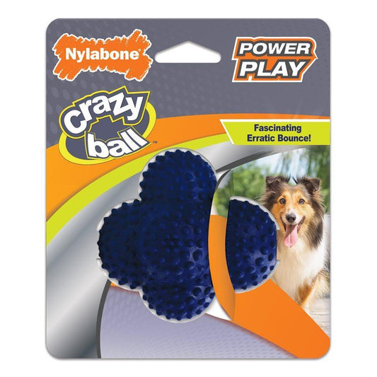 Nylabone Play Crazy Ball