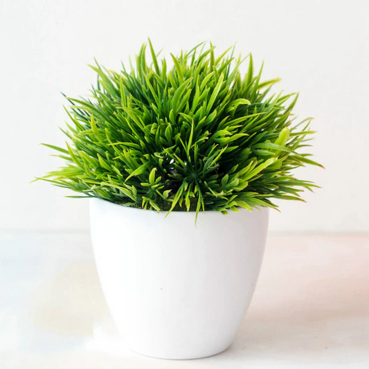 Phoenix Grass