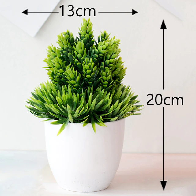 Green plant dimension