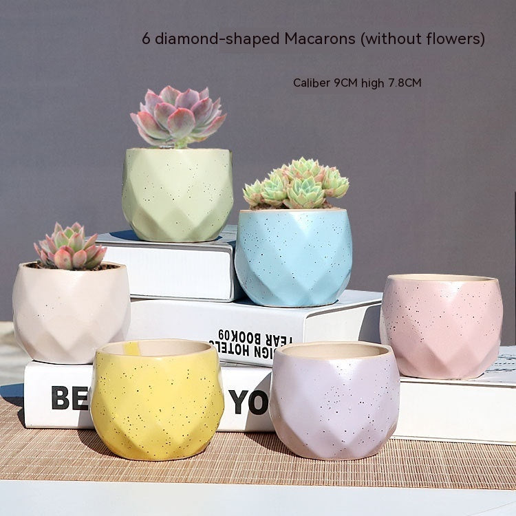 Succulent Small Flower Pot Stoneware