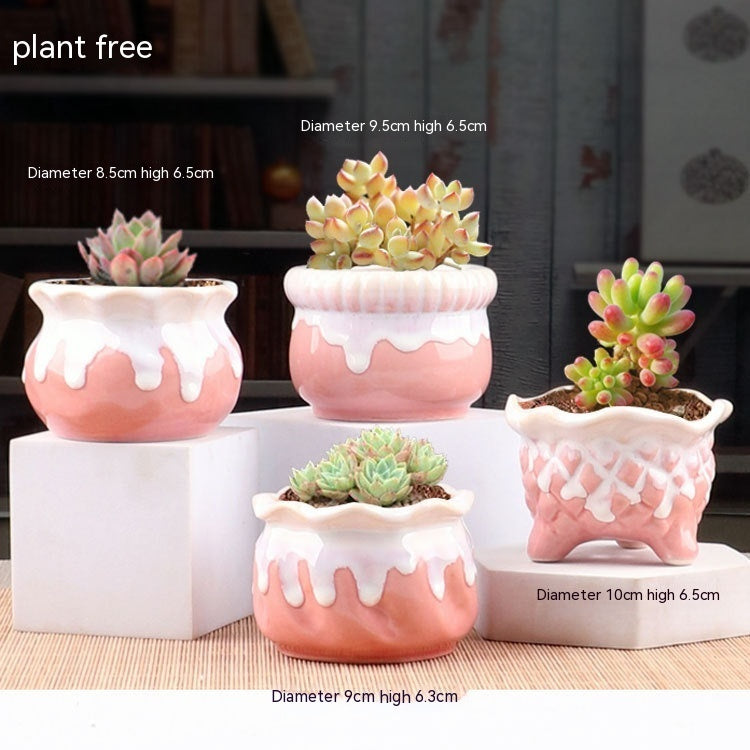 Succulent Small Flower Pot Stoneware