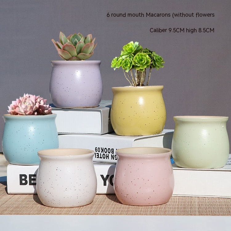 Succulent Small Flower Pot Stoneware