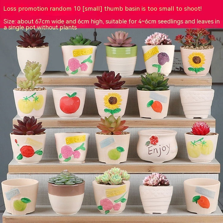 Succulent Small Flower Pot Stoneware