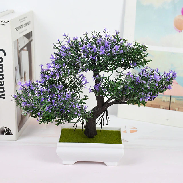 Bonsai Pot plant