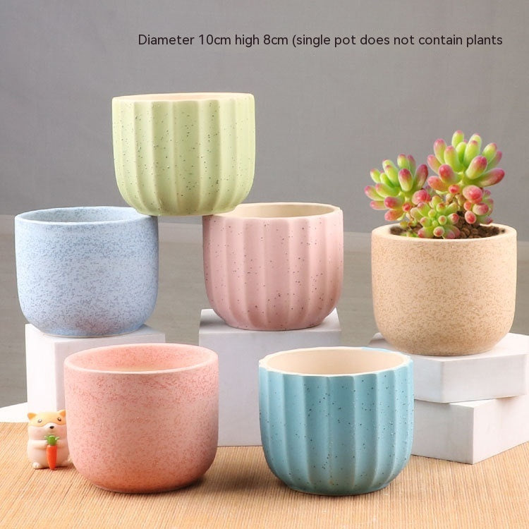 Succulent Small Flower Pot Stoneware