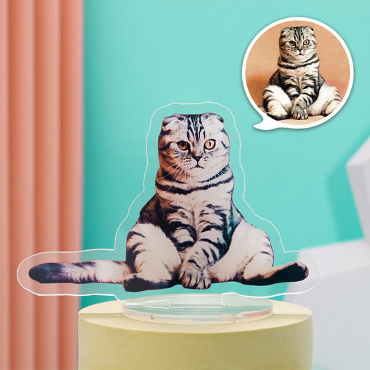 Custom Photo Acrylic Frame Decor Creative Home Ornaments Animals Theme