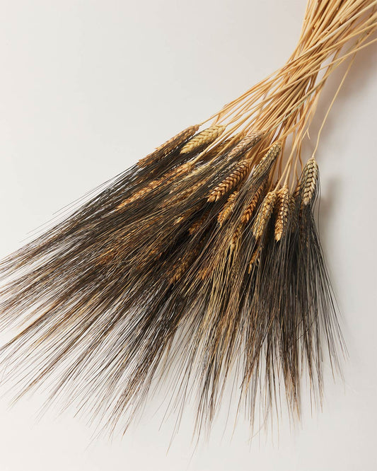 Farmer's Wheat Bundle