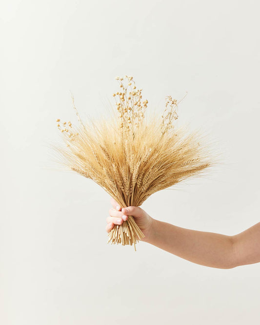 Studio image of hands holding the mini harvest arrangement on a cream/grey background