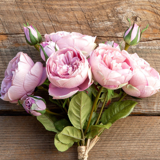 Antique Garden Rose Bundle