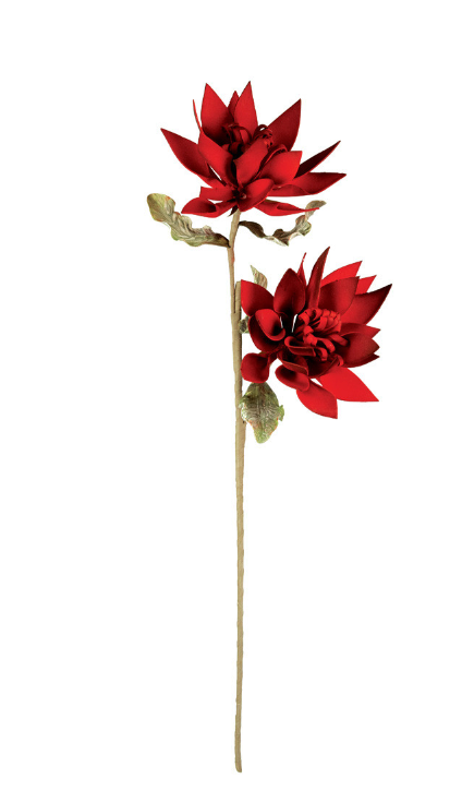 Botanica CLX3296