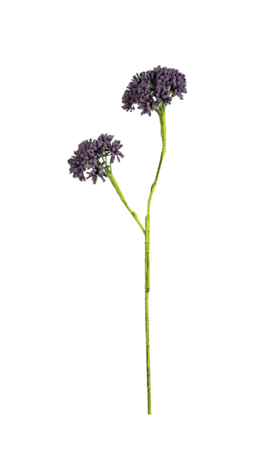 Botanica #2710