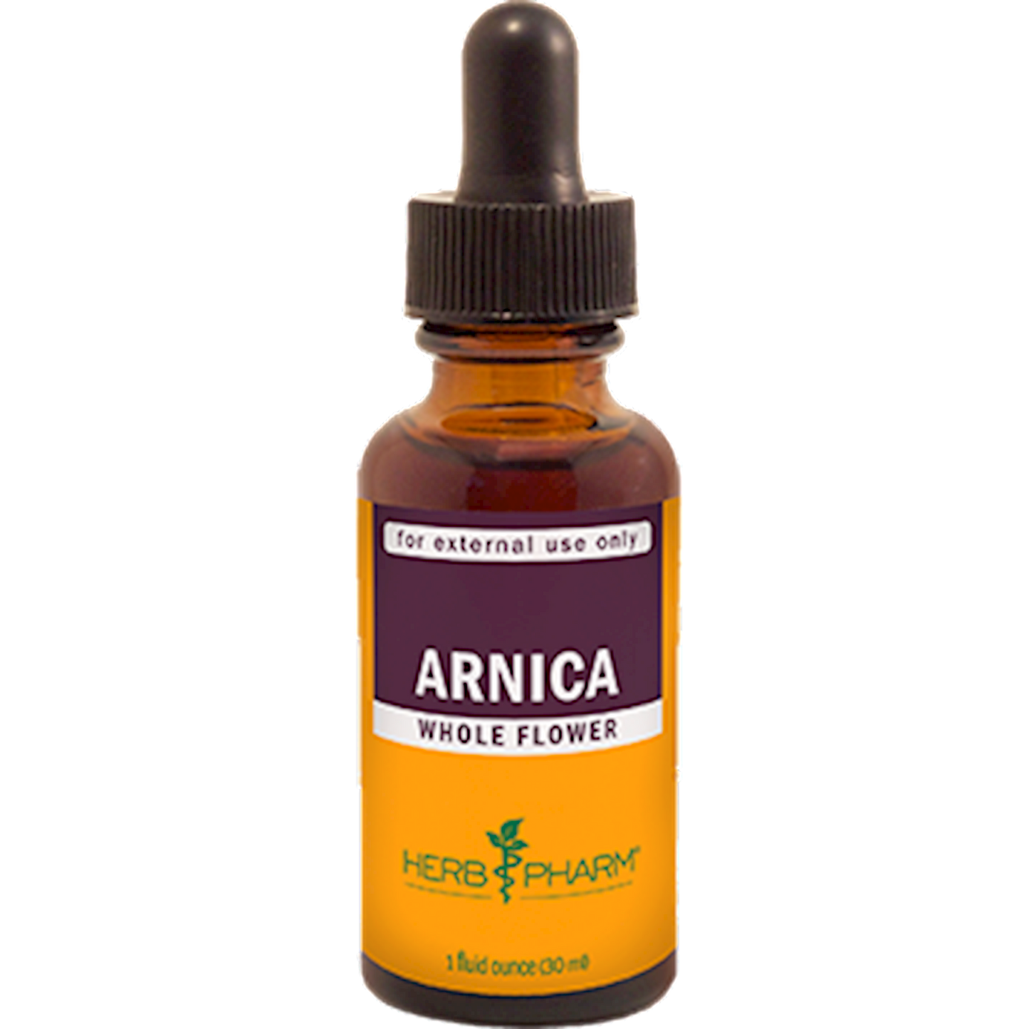 Arnica Oil