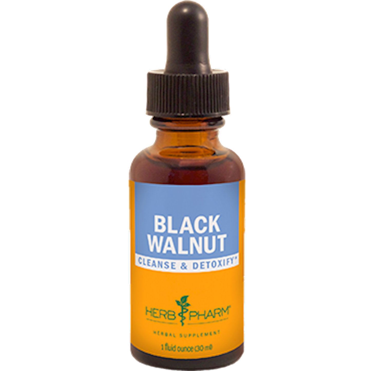 Black Walnut