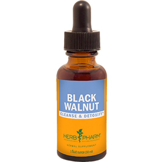 Black Walnut