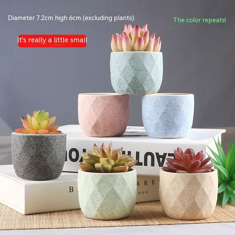 Succulent Small Flower Pot Stoneware