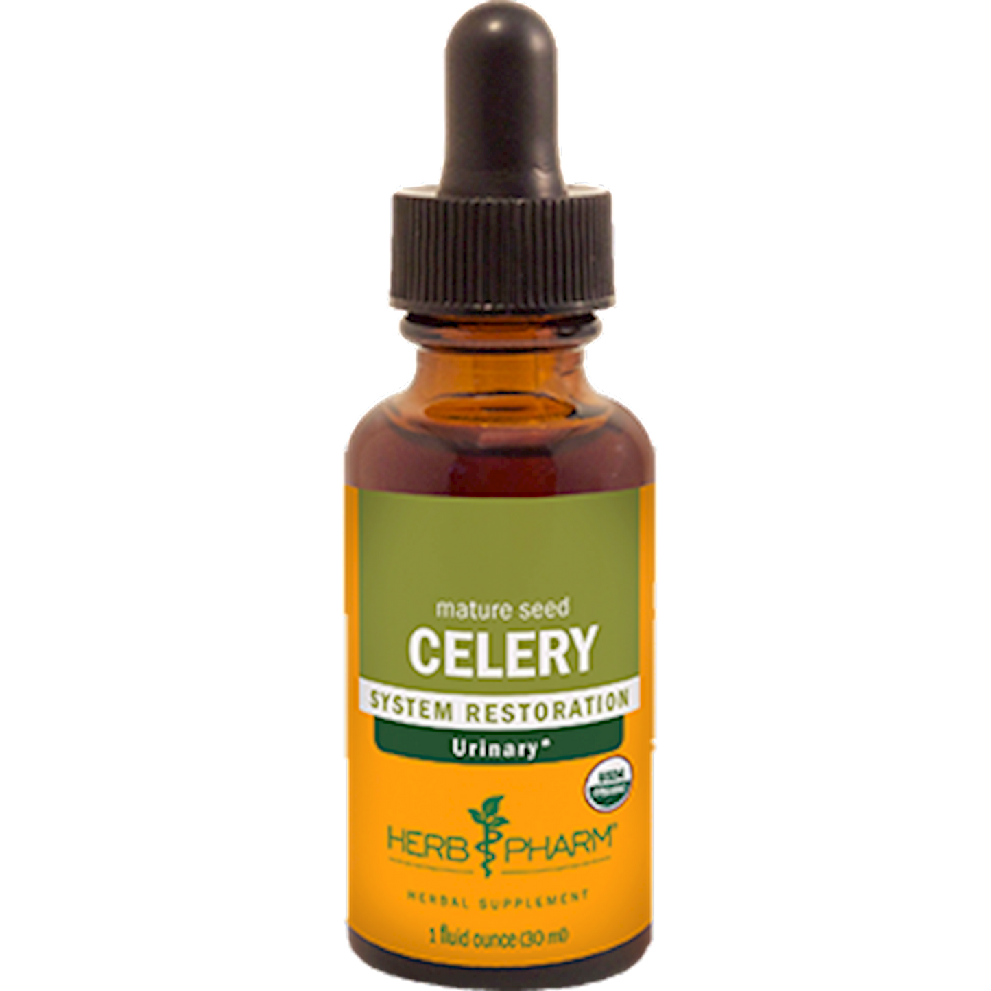 Celery
