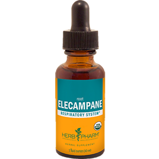Elecampane