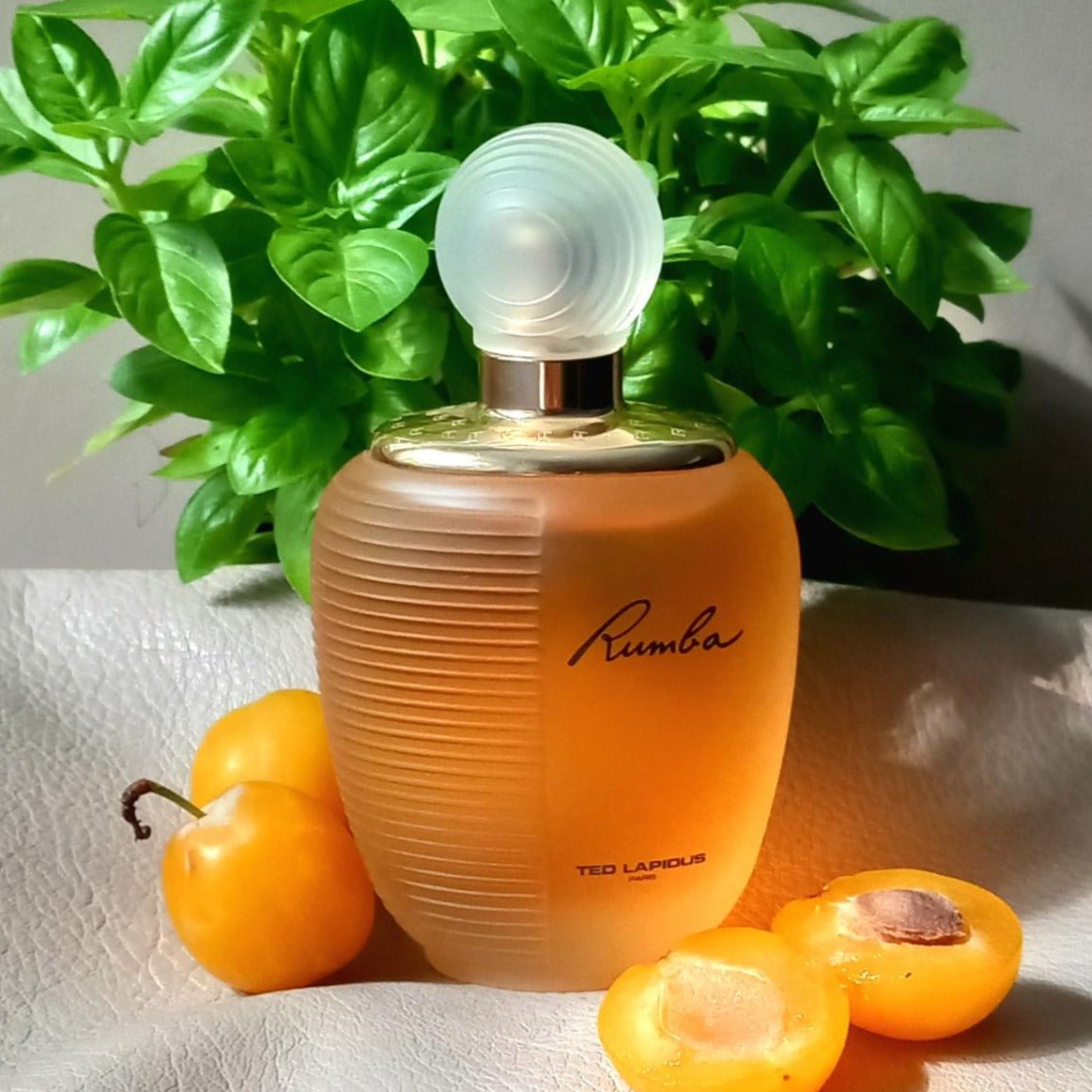 Ted Lapidus Rumba EDT