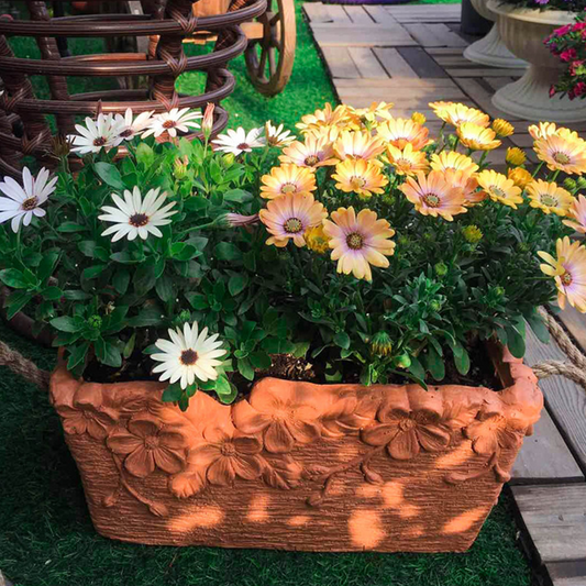 Beige  beautiful Rectangular Flower planter pot